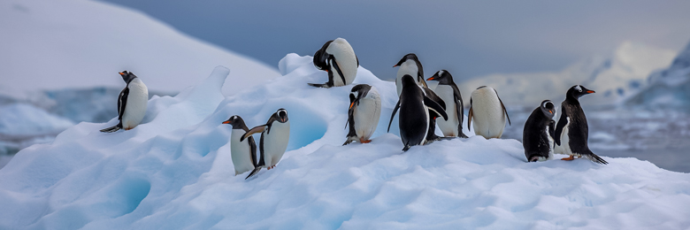 Antarctica Image 4
