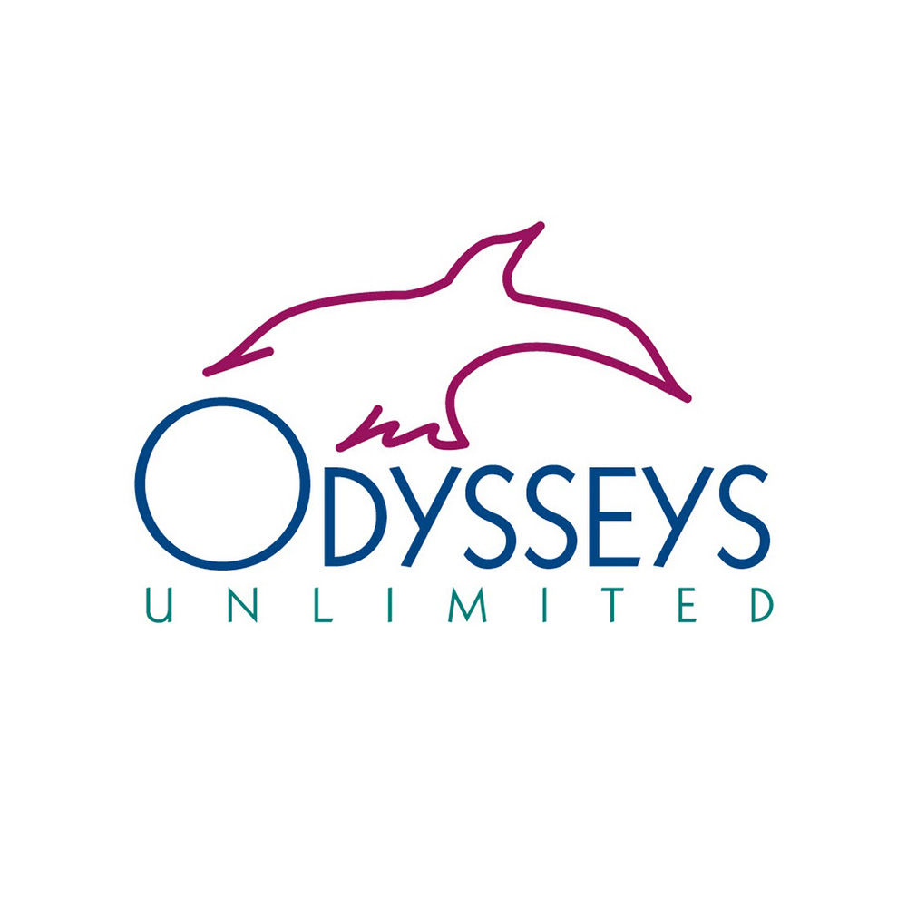 Odysseys