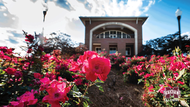 Picture of hot pink flowers in front of the YMCA Building