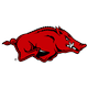 University of South Carolina Logo