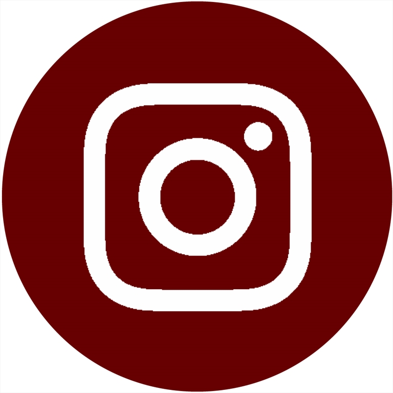 Instagram Icon