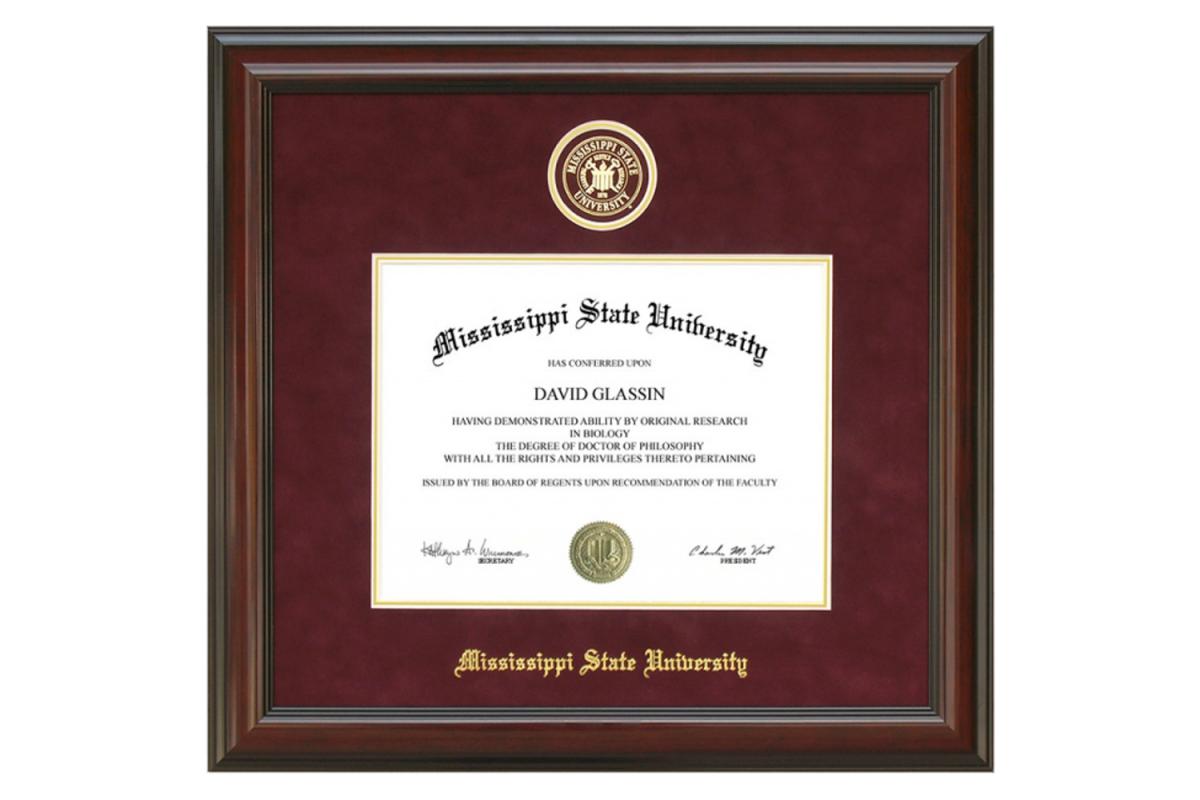 MSU Diploma Frames