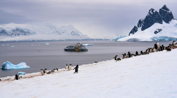 Antarctica Discovery