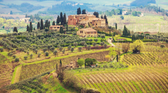 Flavors of Tuscany 