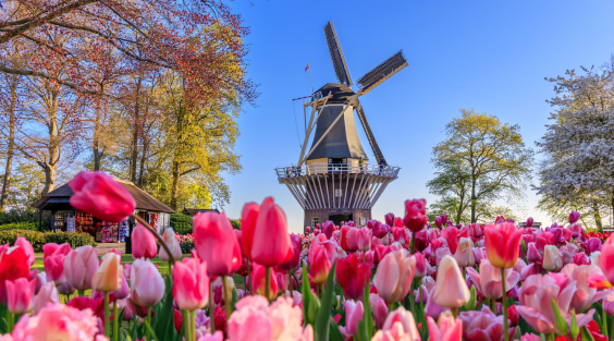 Holland &amp; Belgium