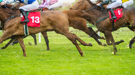 Kentucky Derby